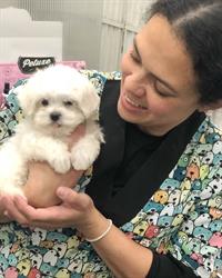 Horario de apertura Peluquería Canina Ven Aquí, Albelda de Iregua