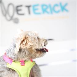 Horario de apertura Centro Veterinario Veterick, Andújar
