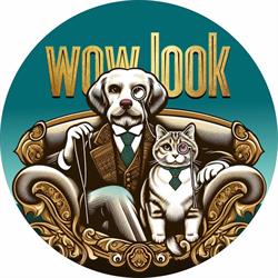 wow look estilo de mascotas en Valencia (Patraix) - Horario de apertura
