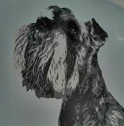 Horario de apertura Clínica veterinària VET2.0 Urg. 24h, Balaguer