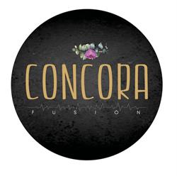 Horario de apertura Concora fusión, Valencia
