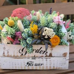 Horario de apertura Salón de las Flores, Fisterra
