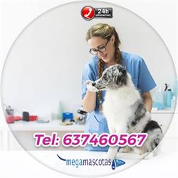Horario de apertura Clínica veterinaria y urgencias Megamascotas, Molina de Segura