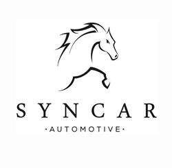 Horario de apertura Syncar Automotive, Camargo