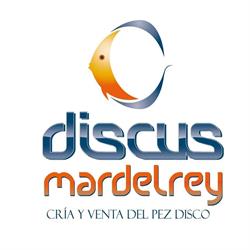 Horario de apertura Discusmardelrey, Alicante