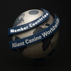 Horario de apertura Alianz Canine Worldwide, Molina de Segura