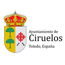 Horario de apertura Ayuntamiento de Ciruelos, 