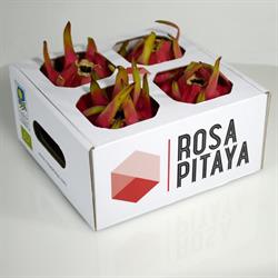 Horario de apertura Pitaya Mayorista- Rosa Pitaya, La Concepción