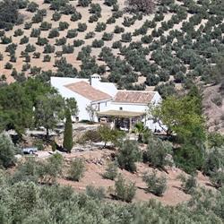 Horario de apertura Cortijo La Pedriza, Arroyo del Cerezo