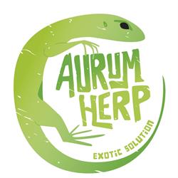 Horario de apertura Aurum Herp, Loja