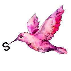 Colibri Studio en Las Palmas de Gran Canaria (Las Palmas De Gran Canaria) - Horario de apertura