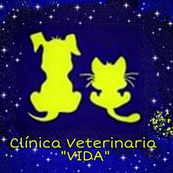 Clínica Veterinaria Vida en Valencia (Campanar) - Horario de apertura