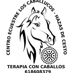 Horario de apertura Centro Ecuestre Los Caballucos, Hazas de Cesto