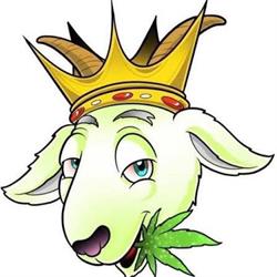 Thegreengoat en Barcelona (Sants-Montjuïc) - Horario de apertura