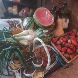 Horario de apertura La Huerta de Maruja, Almería