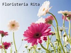 Horario de apertura Floristeria Rita, Mataró