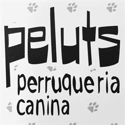Horario de apertura Peluts Perruqueria Canina, Mora d'Ebre