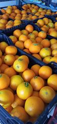 Horario de apertura Frutas Hermanos Benítez, Cártama