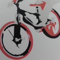 Horario de apertura Dani Bikes, Ribadesella