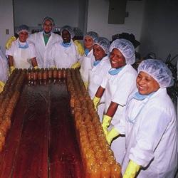 Horario de apertura EquiMercado - Alimentación ecológica y de Comercio Justo y Cosmética Natural Certificada, Esquíroz