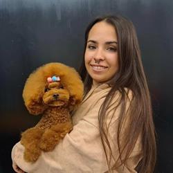 Horario de apertura Els amics de keisha, Badalona
