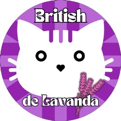 British de Lavanda Inglesa *ES en Villamayor (Salamanca) - Horario de apertura
