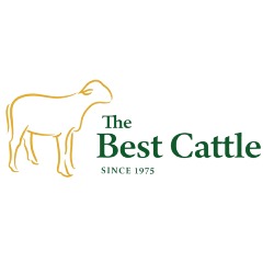 Horario de apertura The best cattle, Barqueros