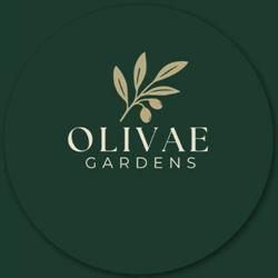 Horario de apertura Olivae Gardens, San Pedro de Alcántara