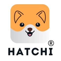 Horario de apertura Hatchi, Castellón de la Plana