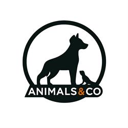 Horario de apertura Peluquería Canina Animals&co, Alicante