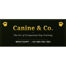 Horario de apertura Canine & Co., San Enrique de Guadiaro