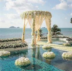 Horario de apertura Floristería Maribel - Carolina, Murcia