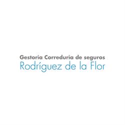 Horario de apertura Gestoría Administrativa Corredor De Seguros Rodríguez De La Flor, Avilés