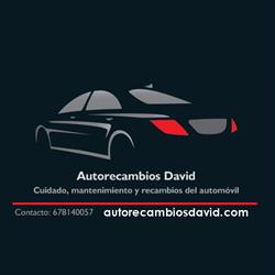 Horario de apertura Autorecambios David, Canduas