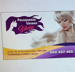 Horario de apertura Peluquería Unisex Silvia, Torre del Campo