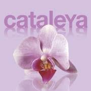 cataleyamasquemoda en Valencia (Jesús) - Horario de apertura