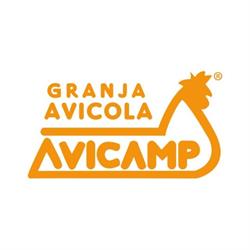 Horario de apertura Huevos Avicamp, Guardamar del Segura