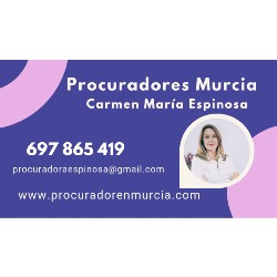 PROCURADORES MURCIA Carmen Espinosa en Murcia (Murcia) - Horario de apertura