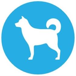 Horario de apertura mascotaregalos.com, Oropesa del Mar