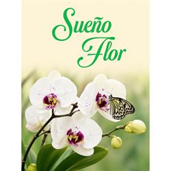 Horario de apertura Sueño Flor, Santa Úrsula