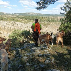 Horario de apertura Club de Cazadores Los Zorras, Orea