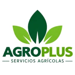 Horario de apertura Agroplus Servicios Agricolas ETT, El Ejido
